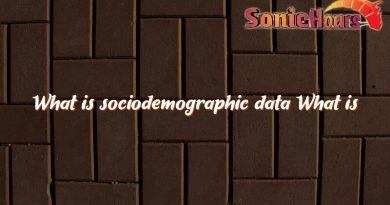 what is sociodemographic data what is sociodemographic data 4724