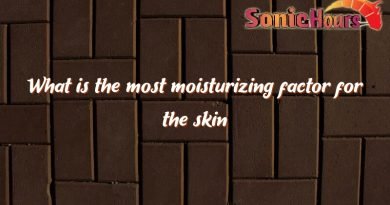 what is the most moisturizing factor for the skin 3964