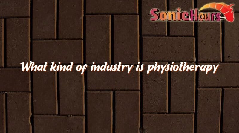 what kind of industry is physiotherapy 4876