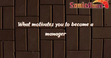 what motivates you to become a manager 1421