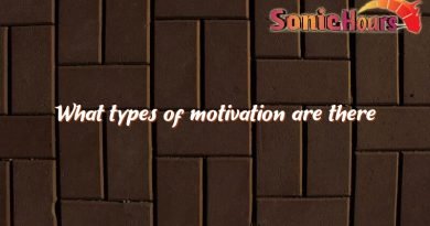 what types of motivation are there 1299