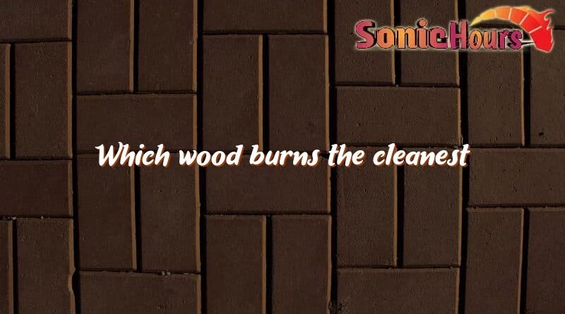 which wood burns the cleanest 3669