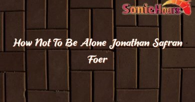 how not to be alone jonathan safran foer 35304
