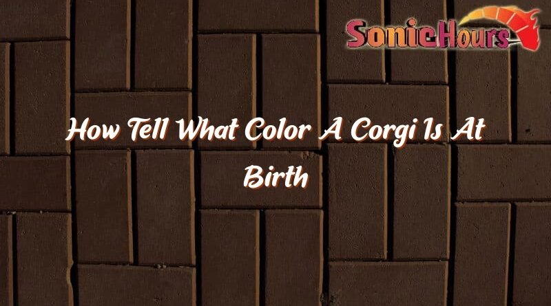 how tell what color a corgi is at birth 35366