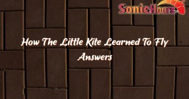 how the little kite learned to fly answers 35370