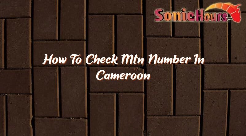 how to check mtn number in cameroon 35698