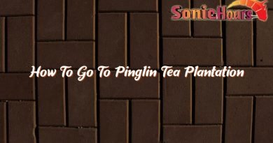 how to go to pinglin tea plantation 36290