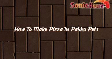 how to make pizza in pakka pets 36935