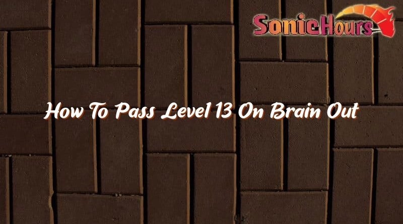 how to pass level 13 on brain out 37029