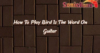 how to play bird is the word on guitar 37067