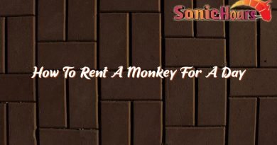 how to rent a monkey for a day 37232