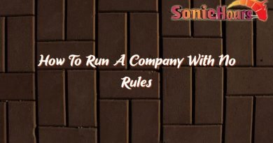 how to run a company with no rules 37334
