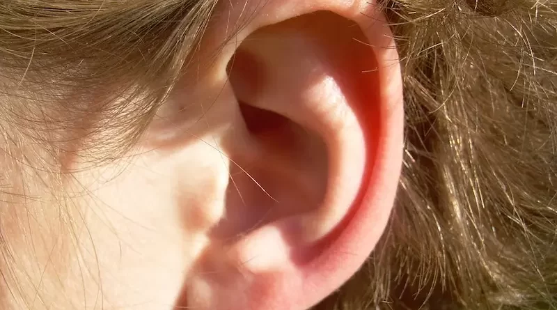 Can Ear Wax Build Up Cause Hearing Loss?